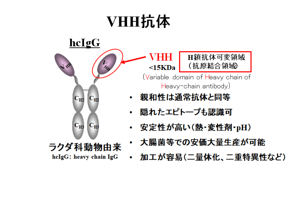 VHH抗体2